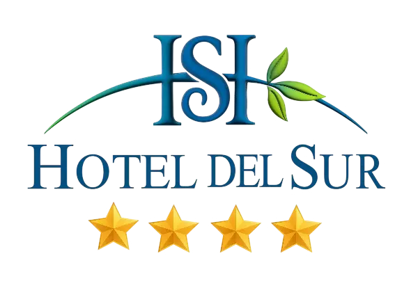hotelDelSur.webp